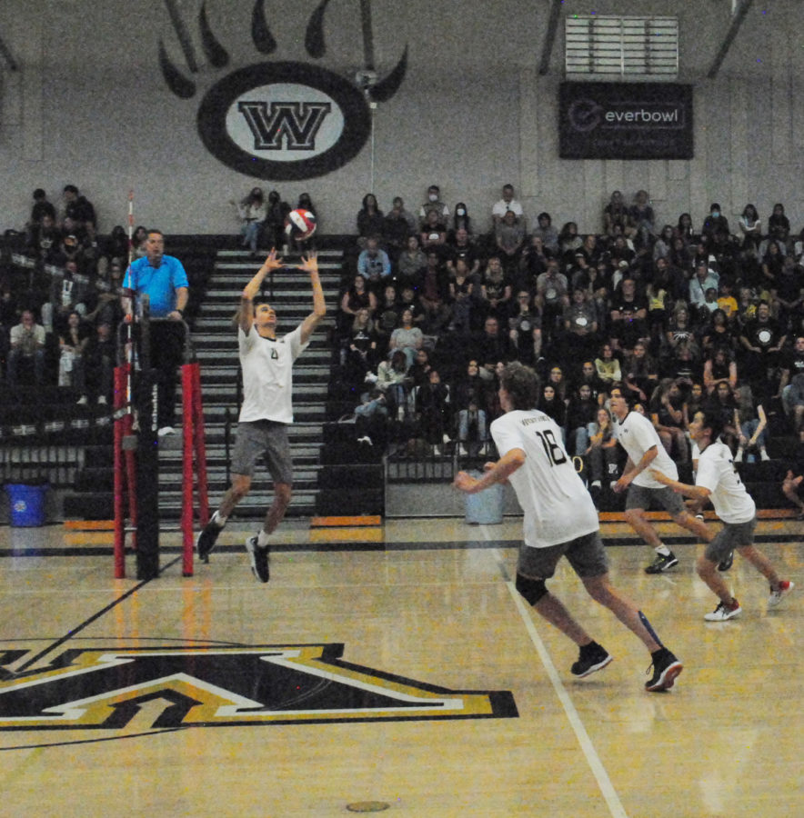 Volleyball takes second in CIF Open division