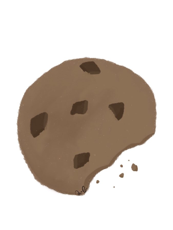 Full-filled: Cookies in a canyon??