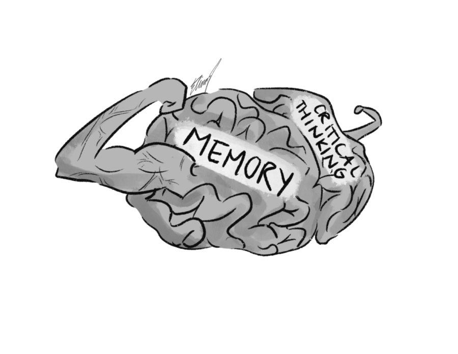 Memorization isnt learning