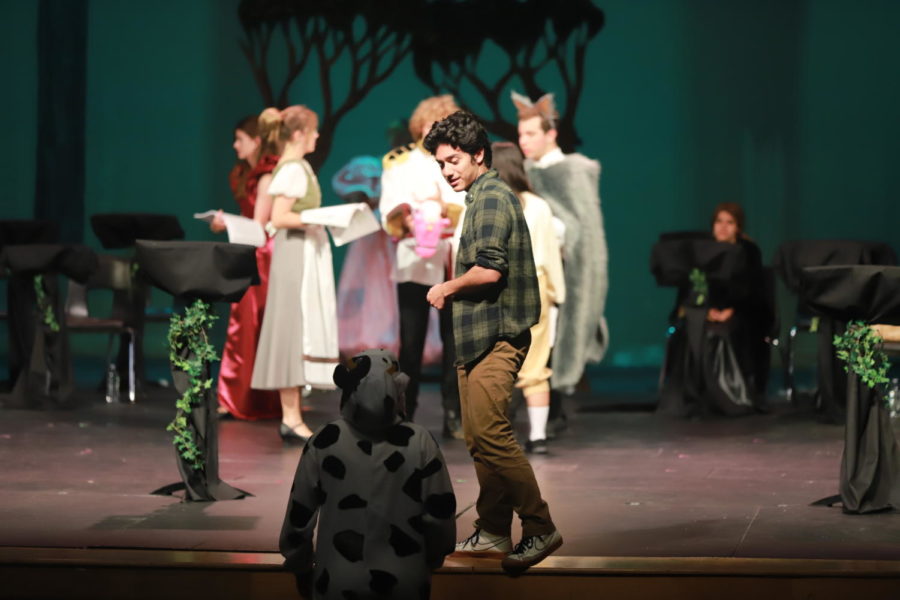 Senior theatre performs Into the Woods