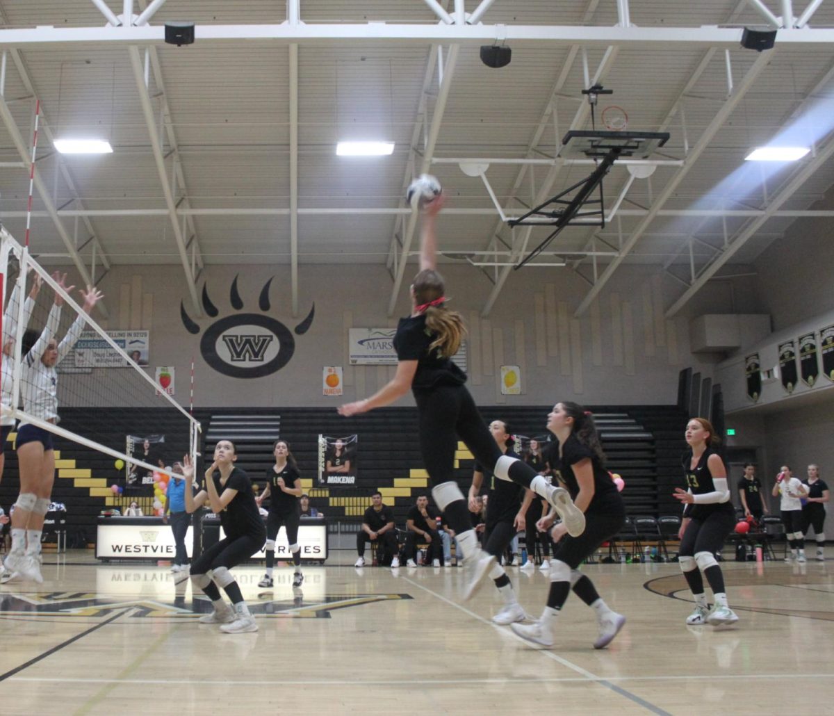Vivian Roberts (10) leaps into the air to strike the volleyball that was set by Ava Zamora (11), scoring a point for Westview, Oct. 20. The team was celebrating their senior night together at their latest home game against San Marcos, and after an intense match, the team lost 3-1.