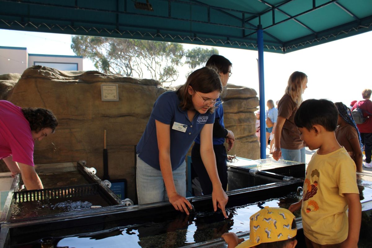 Malea Wiener (11) points out sea life in a touch tank of the Preuss Tide Pool Plaza at the Birch Aquarium, Nov. 4. Wiener volunteers at the aquarium, talking to visitors about local marine species and answering questions. 