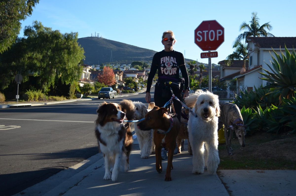 Community member Sarah Eishen takes six dogs on their daily walk, Dec. 5. She has cared for dogs for 10 years. 
