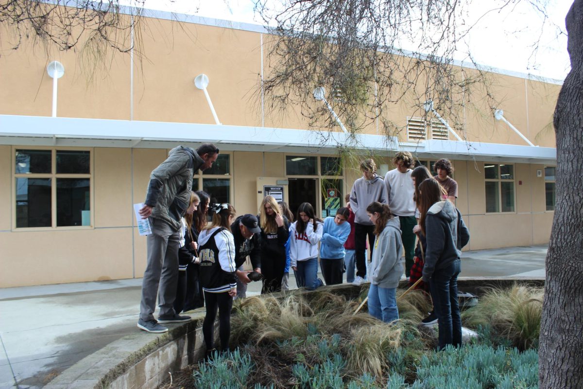 Principal Ernie Remillard and science teacher Mitch Donnellys first period biology class gather around a planter as they look for Donnelleys missing turtles, Feb. 8. Throughout the school day, Remillard often visits classes around campus to engage with student life.