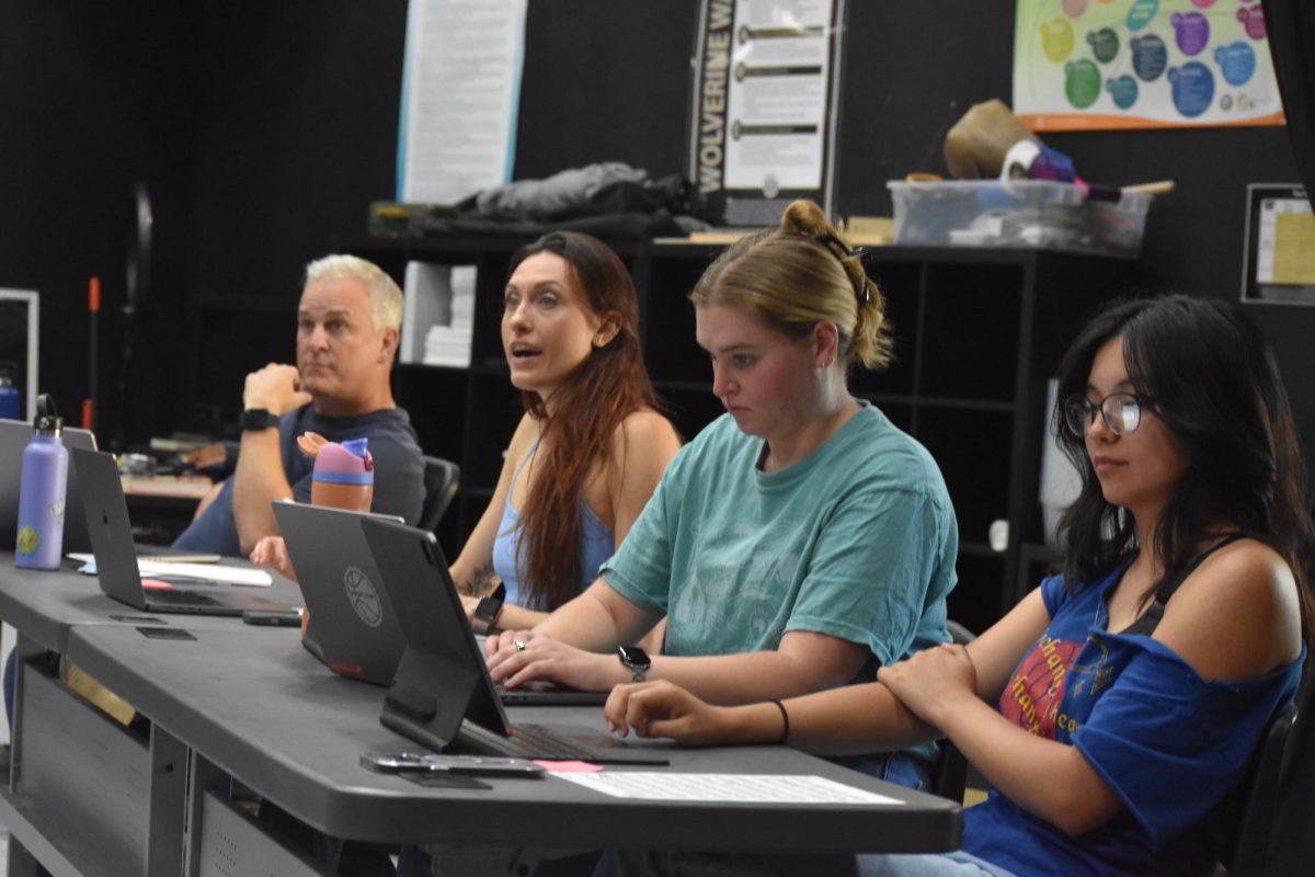 Panel hosts auditions for The Wizard of Oz