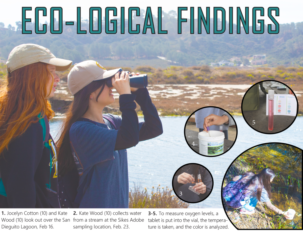 Eco-logical Findings: students sample water for ecological study