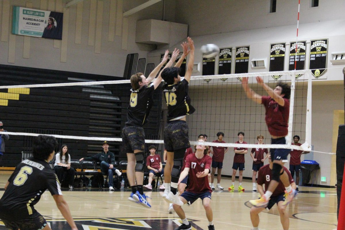 Boys volleyball shut down by Scripps Ranch 3-1