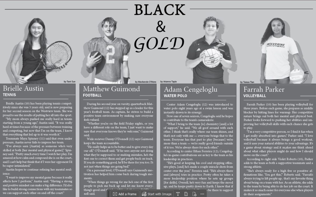Black & Gold