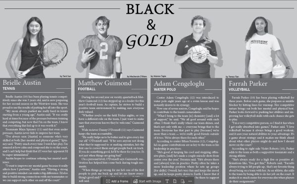 Black & Gold