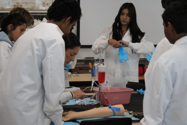 Biomed teacher Kelly Muench inserts a needle into a model arm as Amogh Hongal (9) and Sanvi Jain (9) observe, Sept. 25. This was Principles of Biomedical Science's first lab. 