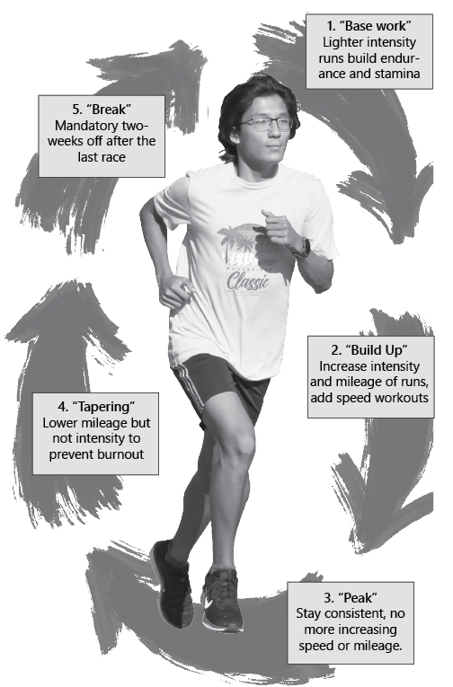 Runners' interval training promotes health