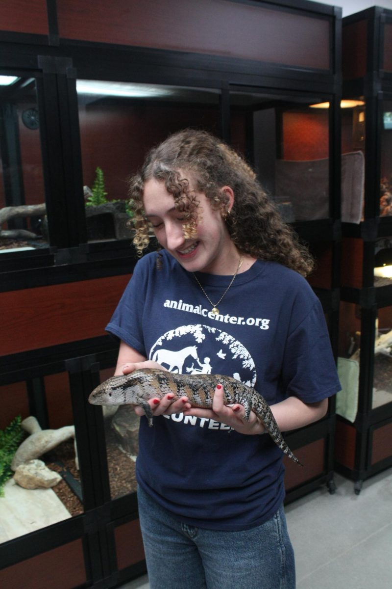 Stapleton volunteers at Helen Woodward Reptile Department