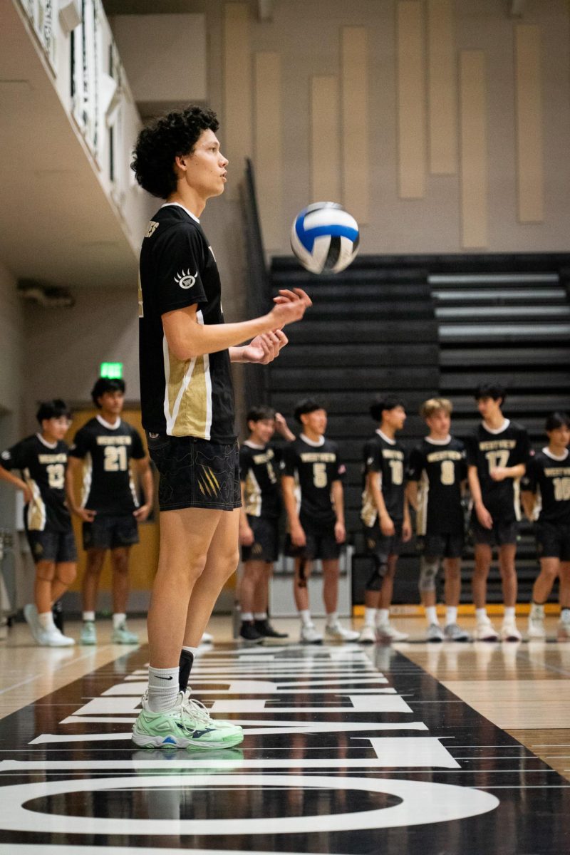 Co-captain and outside hitter Logan Lim (12) prepares to serve against La Jolla High School, March 4. Boys volleyball swept their first game of the season, winning in three straight sets.
Courtesy of Eunjae Lee