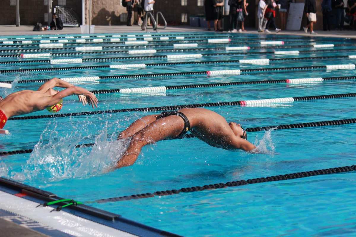 Boys swim and dive triumphs against Mt. Carmel on Senior Night 