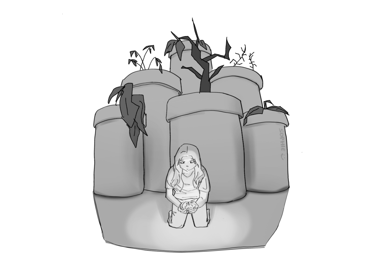 Serena cartoon better